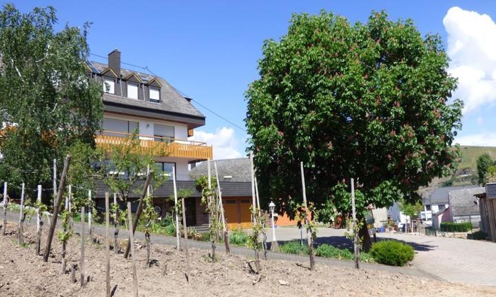 Gästehaus Straußwirtschaft Löwenhof